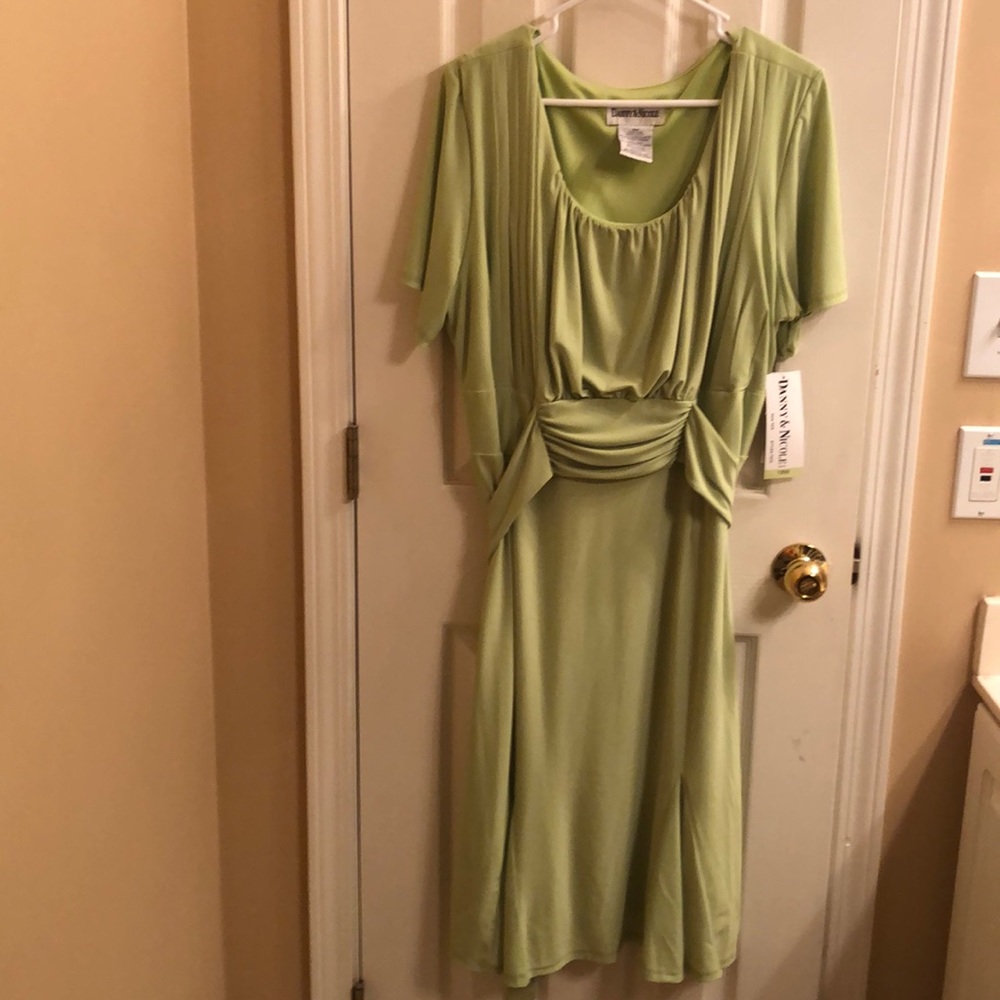 Danny and Nicole dress NWT